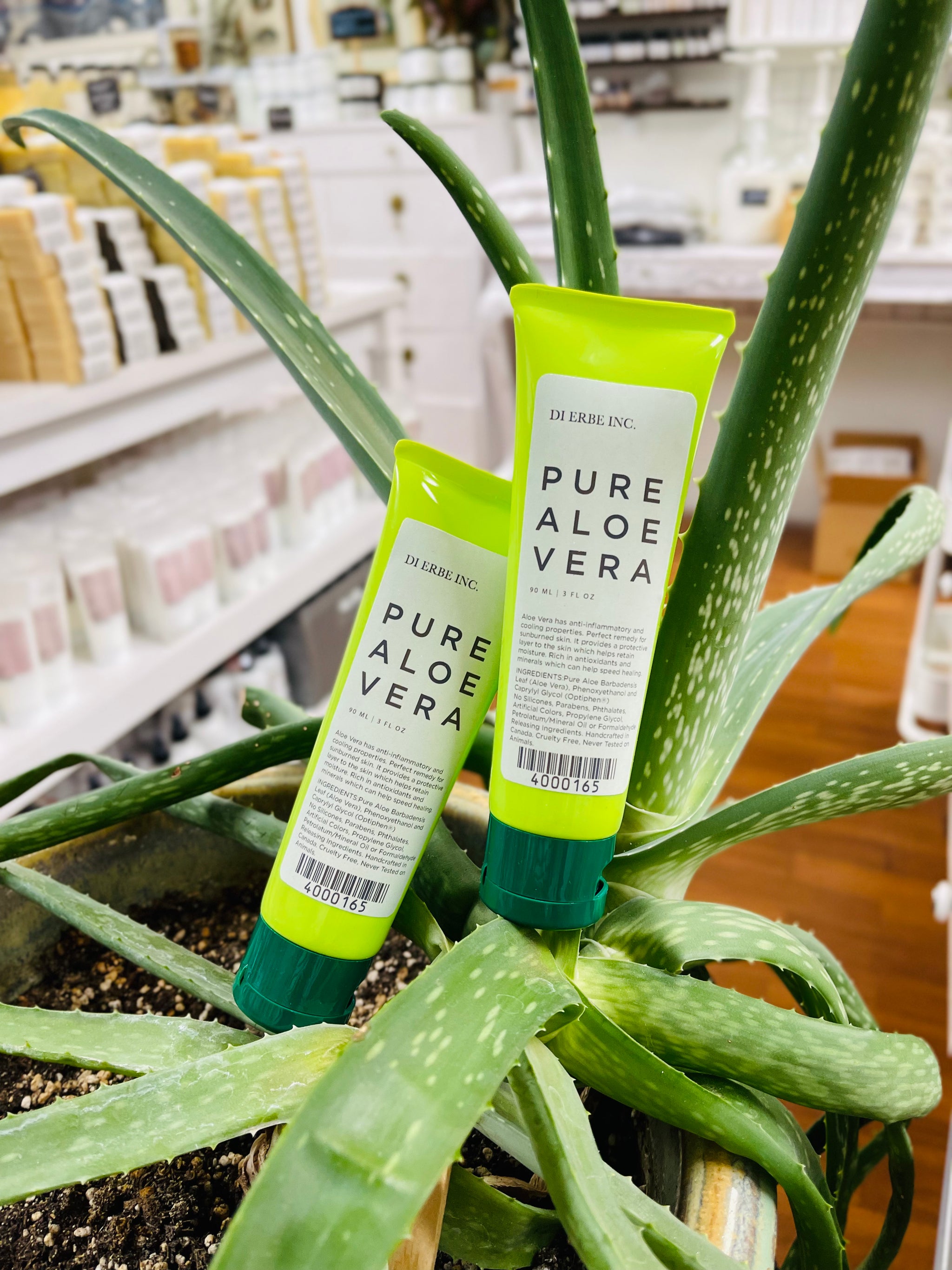 Pure Aloe Vera Gel – Di Erbe Inc